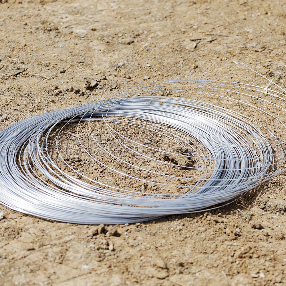 SS wire 2